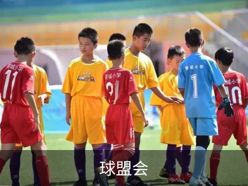 走进我们